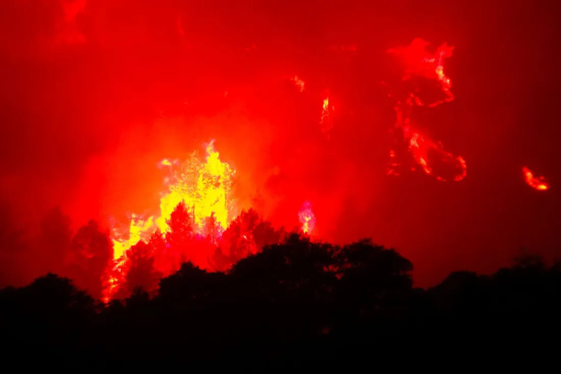 La forêt de Monze, brûlée en août 2019.